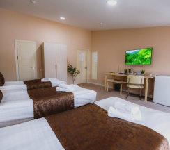 Трёхместный номер Standard в City Hotel