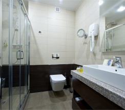 ЛЮКС А в Метелица