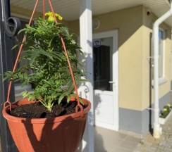 Апартаменты №К14 в Янтарная корона