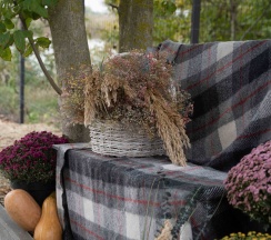 Дом в Elephant Homd