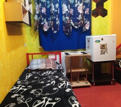 Номер 4-х местный Эконом в Мур ля мур