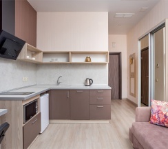 Апартамент с раскладным диваном в Tulip hotel apartments