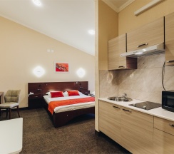 «Standard Studio» с двуспальной кроватью в Red River Hotel