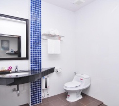 Двухместный номер Premier двуспальная кровать в The BluEco Hotel