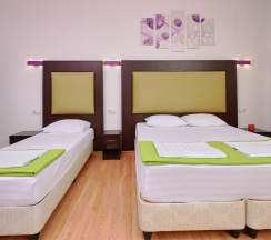 3-х местный без балкона в Диса