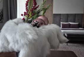 Апартаменты Апартаменты на Россия, Забайкальский край, Чита, мкр Царский дом 11 в Чите