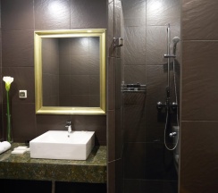 Номер Супериор с 1 двуспальной кроватью в Garden Hotel & SPA