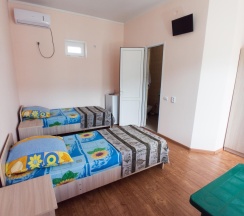 Номер стандарт эконом с 1 односпальной кроватью в Лайнер