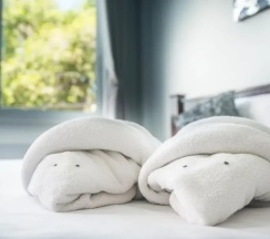 Номер Deluxe с видом на бассейн в Beehive Phuket Old Town - Hostel