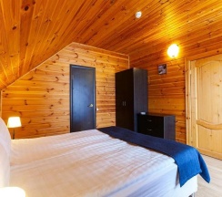 Номер люкс с 1 двуспальной кроватью (мансарда) в Тучково