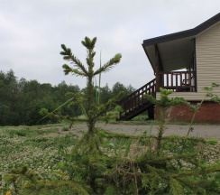 7 дом "Антти" в Sumeria House
