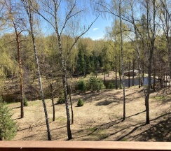 Комфорт одноместный в Розендорф