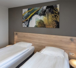 Бизнес двухместный в Амакс Сити-отель