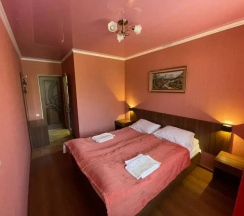 Двухместный номер Standard № 4 с видом на горы двуспальная кровать в Ёлка и камин