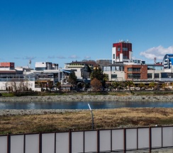 Стандарт с двуспальной кроватью , с видом на море и реку до 3 гостей в Дельфин парк