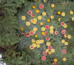 River-3 VIP | Банный чан в Барские Поля