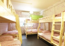 Номер Standard в Tiger Lily Hostel