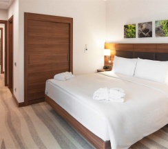 2-комнатный номер люкс с 1 двуспальной кроватью в Hotel Moscow Krasnoselskaya