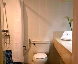 Двухместный номер Deluxe с видом на город в Paragon Tower Hotel