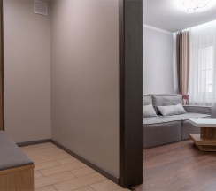 Полулюкс 2 комнатный с стандартной гостиной (джуниор сюит) в Истра