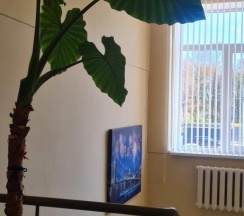 Четырёхместный номер Superior с красивым видом из окна в Алания
