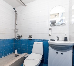 Двухместный Стандартный  номер с двуспальной кроватью в гостевом доме SV на 1 этаже в Милка