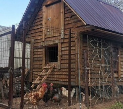 Дом в Окуневая Заимка