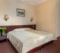 Стандартный двухместный номер дабл / Standard double room в Шереметьевский