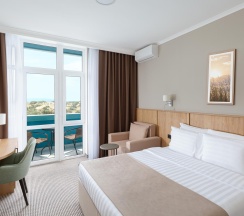 Номер стандарт с 1 двуспальной кроватью в blije