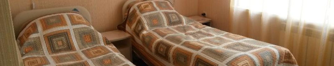 Номер стандарт с 2 односпальными кроватями в Орбита