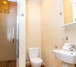 Стандартный двухместный номер с 1 кроватью в Кароза