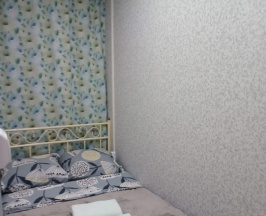 Номер эконом с 1 двуспальной кроватью (без окна) в На Таганской