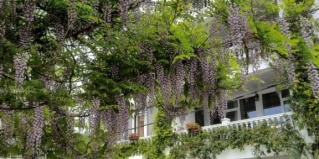 Новый Афон: Отель Hotel Phanakopi