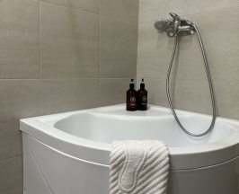 Двухместный Бюджет/Одноместный Стандарт в Резиденция на Мойке