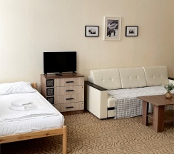 Стандарт в Олимп