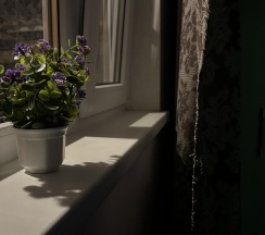 4-местный коттедж стандарт в Country house on Chapaeva