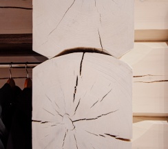 Дом с двумя спальнями  в Весенний