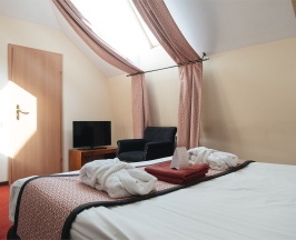 Стандарт в Татьяна Прованс