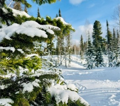 (3А) A-Frame 6х в Черногория на Родниковой