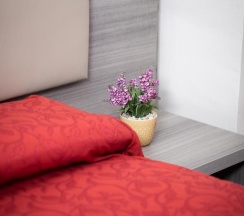 Двухместный номер Deluxe двуспальная кровать в Affittacamere Alessia