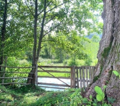 Трёхместный коттедж Economy в Страна Души