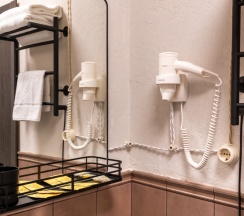 Двухместный стандарт в Горбуновъ