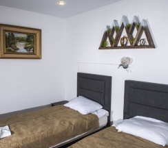 Двухместный номер Standard 2 отдельные кровати в Emerald