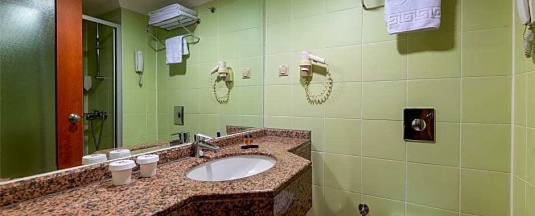 Одноместный номер Standard в Viking Park Hotel