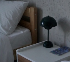 Зеленый Дом в Valenki