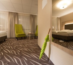 Одноместный номер Premium в Heikotel Hotel Windsor