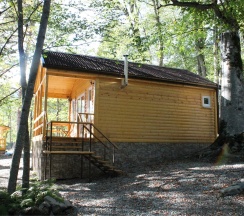 Семейный в Магия гор