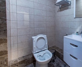 Номер делюкс с 1 двуспальной кроватью (с завтраком) в Отдых