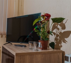 Двухместный стандартный номер с двухспальной кроватью в Гармония-М