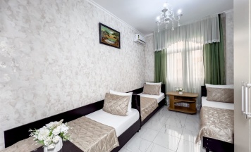 Бюджетный номер в Камелия